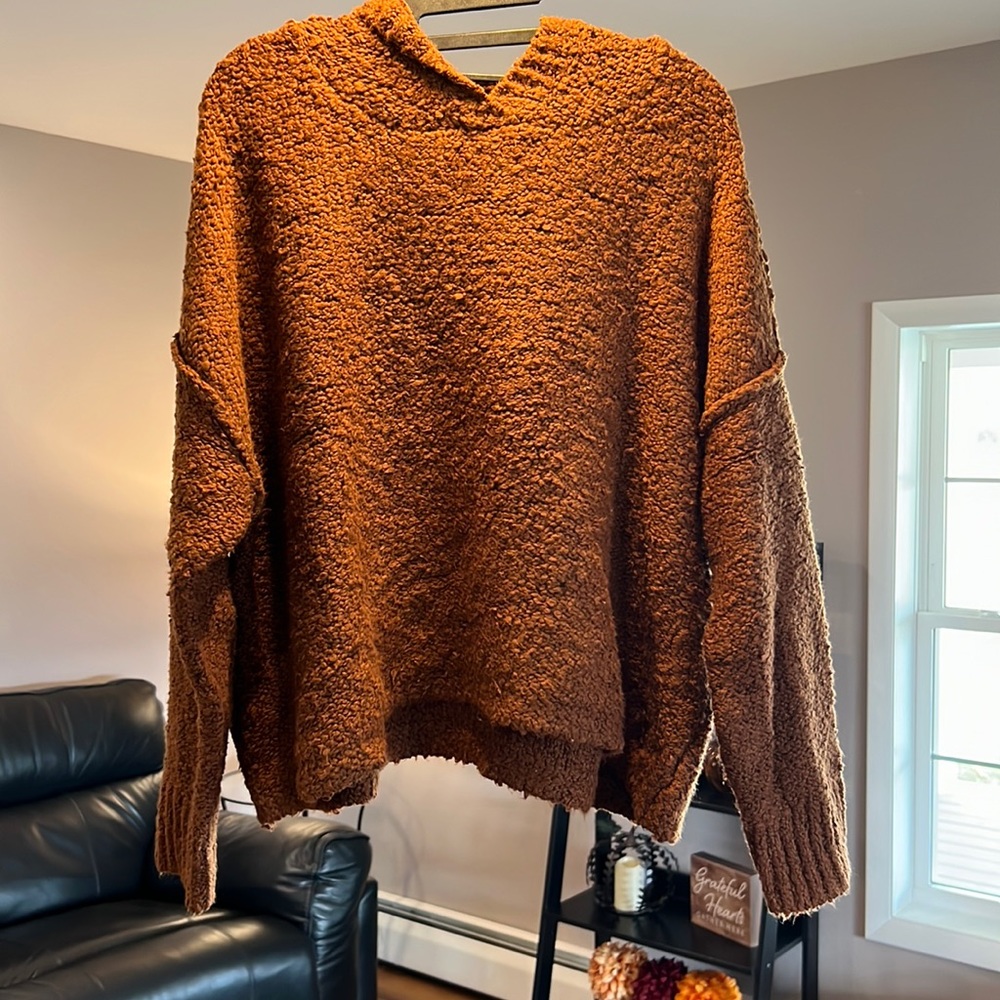 American Eagle Hooded Sweater